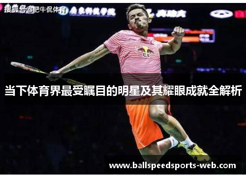 当下体育界最受瞩目的明星及其耀眼成就全解析