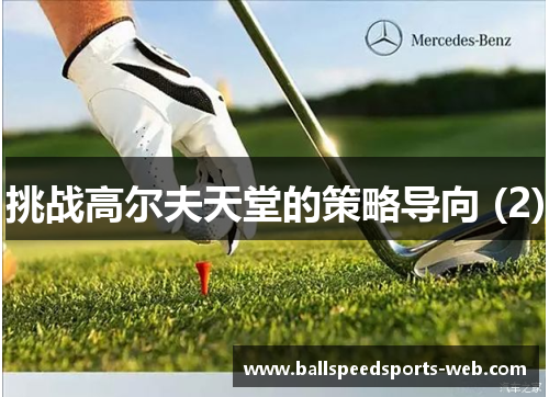 挑战高尔夫天堂的策略导向 (2)